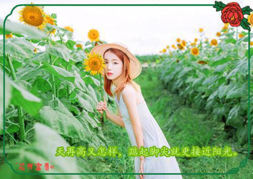 全文浏览为哄青梅开心，老公假装被绑致儿子惨死（江念恩林时远孟悠）_为哄青梅开心，老公假装被绑致儿子惨死（江念恩林时远孟悠）全文结局