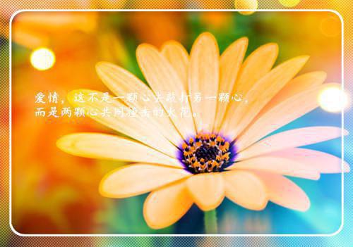 嫁给糙汉混混后，他宠我上天一口气读完全文阅读（姜早早陆远川）最新章节_嫁给糙汉混混后，他宠我上天一口气读完全文阅读