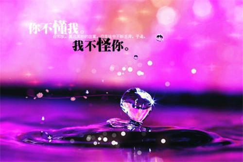 （陆拙言江姝月林鹤知）她把爱情困成牢：好书全文+后续