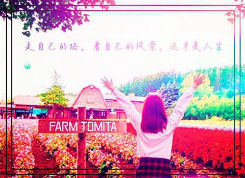 岁暮归南山：+后续+结局整本阅读（阮岁暮郭思远）