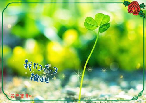 反派修仙：女主全是我的免费全文古乾姬月凰