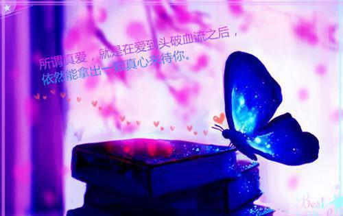 （傅延年贺朝月）贺朝月傅延年：精彩章节免费试读在线阅读最近更新