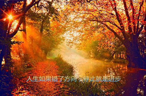 全本往事藏匿枯鱼之肆一口气读完（童昭谢闻舟林晚棠）最新章节列表_全本往事藏匿枯鱼之肆一口气读完全文阅读