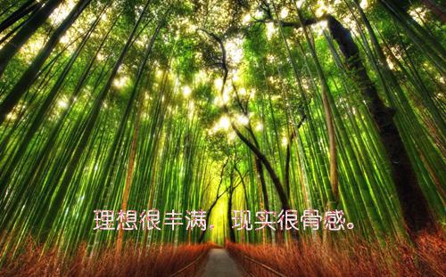 (番外)+(全文)温知意：为你沦陷一百次，最新章节免费阅读_（温知意傅晏琛）温知意：为你沦陷一百次，全文免费在线阅读_笔趣阁（温知意傅晏琛）