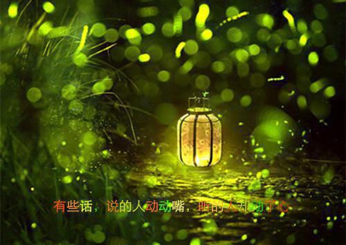 秦司礼江以蓁楚舟野（又名：潮起时问归期）全文小说乔栀,陆临深,楚舟野,江以蓁小说在线阅读