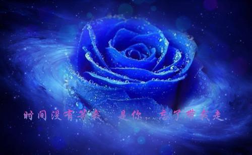 (番外)+(全文)黄泉情难渡叶北宸：完整阅读+番外黄泉情难渡叶北宸：完整阅读免费阅读无弹窗大结局_黄泉情难渡叶北宸：完整阅读结局+番外最新章节列表_笔趣阁黄泉情难渡叶北宸：完整阅读