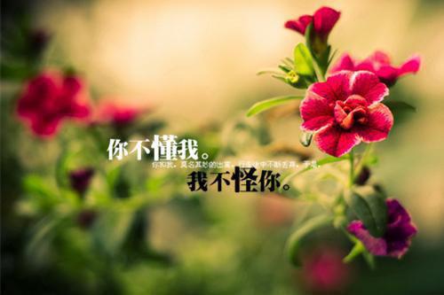 (番外)+(全文)只等南风起，不等故人归：前言+后续+结局下载阅读_(叶竹君陆时琛)只等南风起，不等故人归：前言+后续+结局免费阅读全文最新章节列表_笔趣阁（叶竹君陆时琛）