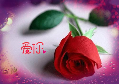 (番外)+(结局)孟卿月顾云霄（爱于燃尽新生）全文免费阅读无弹窗大结局_(孟卿月顾云霄)最新章节列表_笔趣阁（爱于燃尽新生）