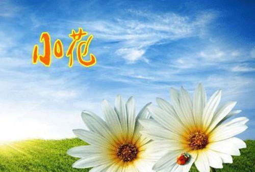 全文浏览祠堂的秘密被发现后，全村火葬场：结局（花花顾成杜伟）_祠堂的秘密被发现后，全村火葬场：结局（花花顾成杜伟）全文结局