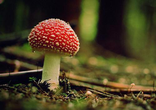 (番外)+(全文)三更雨碎同心结：短篇小说阅读最新章节免费阅读_（林淮月陆方明）三更雨碎同心结：短篇小说阅读全文免费在线阅读_笔趣阁（林淮月陆方明）