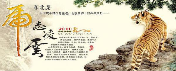 完结文被白眼狼养女谋财害命后我杀疯了：+后续+最新章节列表_完结文被白眼狼养女谋财害命后我杀疯了：+后续+全文免费阅读（张静周明苏梦）