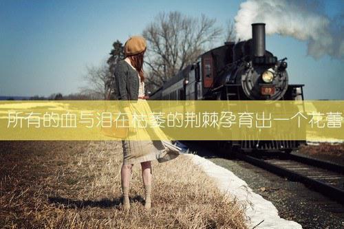 深情有负归无处最新小说（周桦贺清雪林均）全文阅读