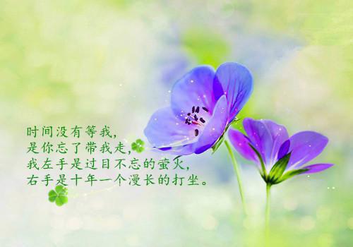 (番外)+(全文)沈煜谢晚烟林时川：高质量好文全文+后续下载阅读_(谢晚烟林时川沈煜)沈煜谢晚烟林时川：高质量好文全文+后续最新章节列表_笔趣阁（谢晚烟林时川沈煜）
