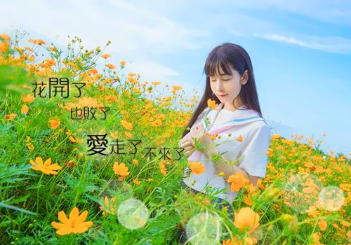 前夫想复合？我亮孕检单让他闭嘴（宋以宁周煜琛）最新推荐_最新推荐前夫想复合？我亮孕检单让他闭嘴（宋以宁周煜琛）