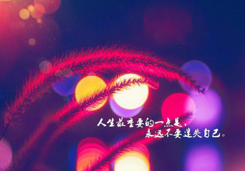 (番外)+(全文)兔子美人上位记txt下载阅读_(愉嫔)兔子美人上位记免费阅读全文最新章节列表_笔趣阁（愉嫔）
