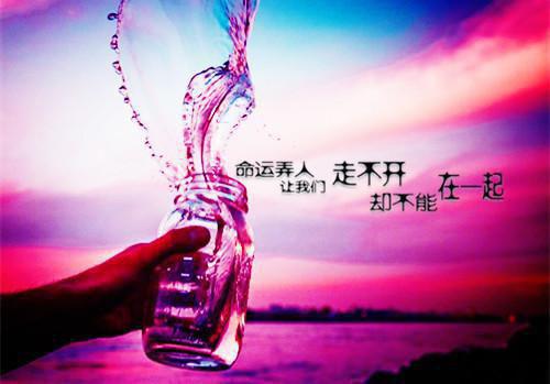 围城向晚热门小说（裴奕宋槐）免费试读