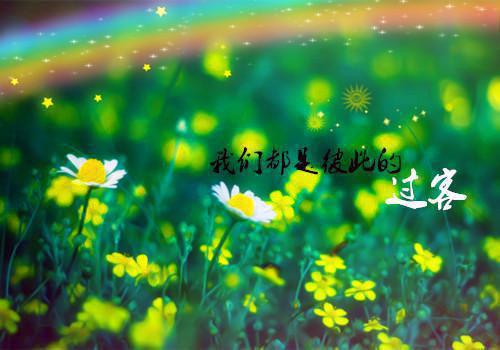 (番外)+(全文)褪色的极光：结局+番外免费下载阅读_（沈嫣然谢砚之）褪色的极光：结局+番外最新章节列表_笔趣阁（沈嫣然谢砚之）
