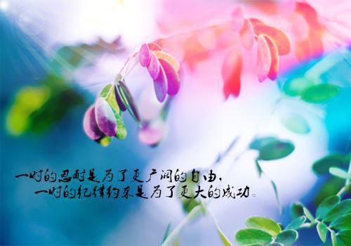 (番外)+(全文)许清禾傅言晟千帆：全文+结局+番外全文免费阅读（许清禾傅言晟千帆：全文+结局+番外小说）全文在线阅读无弹窗大结局_（许清禾傅言晟千帆：全文+结局+番外小说许清禾傅言晟千帆：全文+结局+番外）许清禾傅言晟千帆：全文+结局+番外小说最新章节列表_笔趣阁（许清禾傅言晟千帆：全文+结局+番外）
