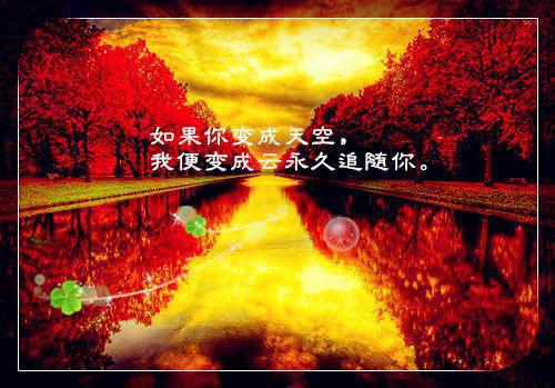 苔藓爬满旧日诺言：最全文小说慕晚夏顾砚廷小说在线阅读