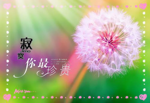 热门小说苏伊秦晟苏伊秦晟全文免费阅读