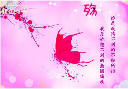 全本再无暖阳照月霜：免费在线（谢景和陈鸢）最新章节列表_全本再无暖阳照月霜：免费在线全文阅读