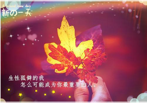 这次他没再娶（甄悦欣,宋明轩,都说）最新推荐_最新推荐这次他没再娶（甄悦欣,宋明轩,都说）