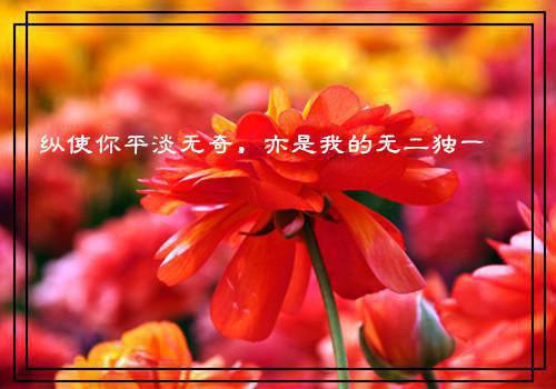 (番外)+(全文)终是庄周梦了蝶推荐必读txt下载阅读_(南语沈聿珩乔清意)终是庄周梦了蝶推荐必读最新章节列表_笔趣阁（南语沈聿珩乔清意）