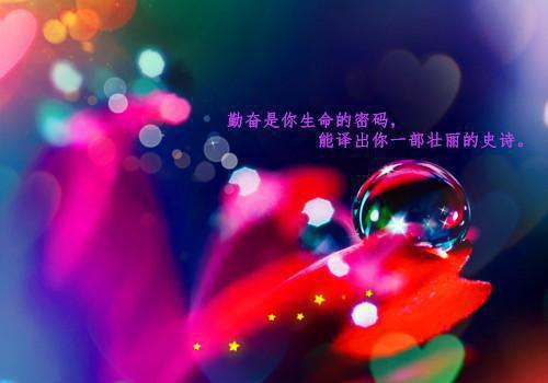 谢尽长安花：+后续+结局（沈照霜宁砚）最新推荐_最新推荐谢尽长安花：+后续+结局（沈照霜宁砚）