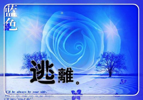 (番外)+(全文)方青葵姜媚陆辙免费下载阅读_(方青葵陆辙)方青葵陆辙最新章节列表_笔趣阁（方青葵陆辙）