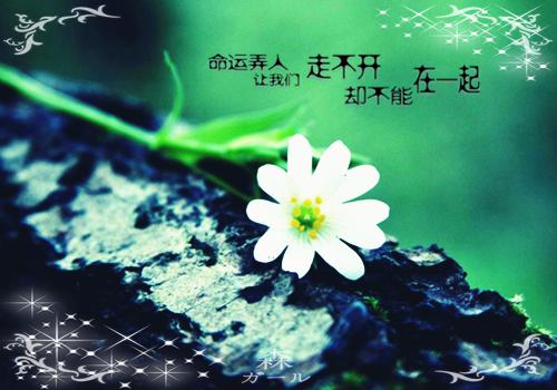 完结文缝补错位人生：,傅云琛乔洛颜最新章节列表_完结文缝补错位人生：,傅云琛乔洛颜全文阅读