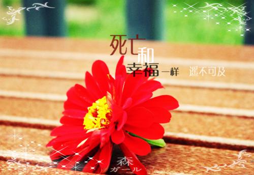 偷偷藏不住小说全文免费阅读_偷偷藏不住阅读