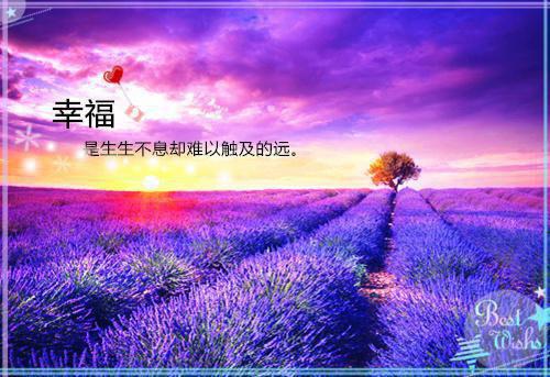 (番外)+(全文)超火小说强烈推荐温南枝沈清宴：全文+结局+番外温南枝沈清宴：全文+结局+番外2025年_温南枝沈清宴：全文+结局+番外温南枝沈清宴：全文+结局+番外完整阅读