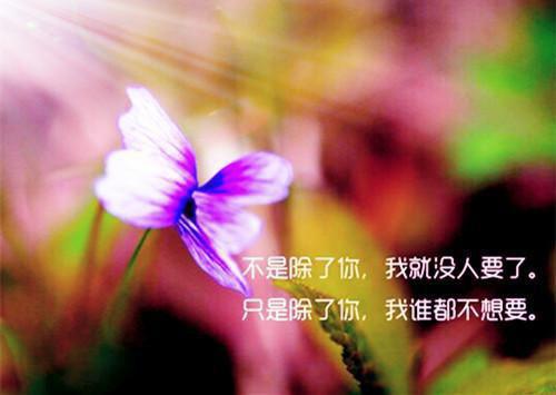 爱烬成灰，焚羽化烟尘全文小说陆清林乐清小说在线阅读