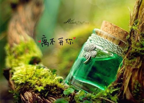 全本浮灯灿烂一朝：反转剧情（谢临风梁明昭沈砚卿）最新章节列表_全本浮灯灿烂一朝：反转剧情全文阅读