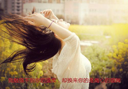 (番外)+(全文)只此中情：全文+后续+结局免费下载阅读_(沈意欢顾祈安)只此中情：全文+后续+结局最新章节列表_笔趣阁（沈意欢顾祈安）