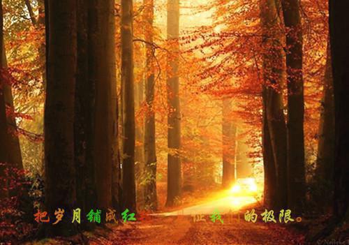 大明暴徒，老朱绷不住了全文清爽版在线+无广告结局（李骜朱元璋）