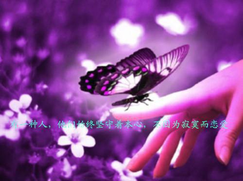 防不胜防 都市生活 | 吕健杨侠全本免费小说目录试读