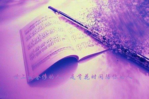 繁花似锦不休：爆火全网(姜霁月封临川)最近更新