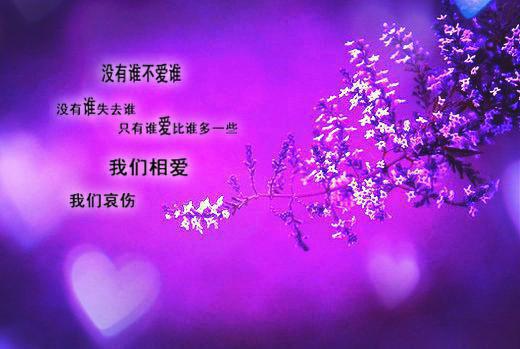好看的网恋被绿后我重回巅峰：结局+番外,苏亭夏靳颂言小说_网恋被绿后我重回巅峰：结局+番外,苏亭夏靳颂言最新章节阅读