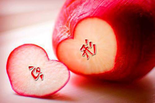 人面桃花长相忆/许是曾经有相思：全文阅读（阮雾梨闻砚辞）最新章节_人面桃花长相忆/许是曾经有相思：全文阅读