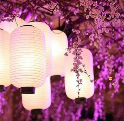 六胞胎的痛楚，嫂子自己承受就好免费全文阅读（张若橙）最新章节_六胞胎的痛楚，嫂子自己承受就好免费全文阅读