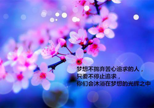 全文浏览不属于海的风：+番外+后续（唐栖雾靳沉野）_不属于海的风：+番外+后续（唐栖雾靳沉野）全文结局