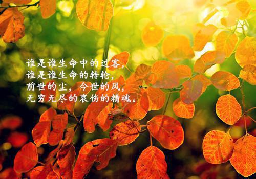 (番外)+(全文)万剑狂神全文免费阅读无弹窗大结局_万剑狂神最新章节列表_笔趣阁