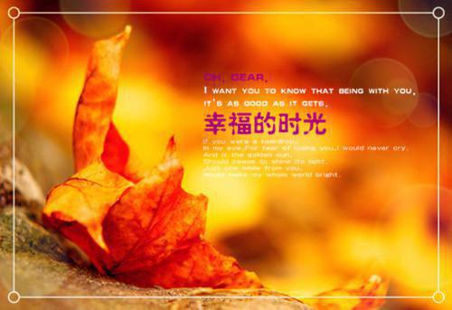 苔藓爬满旧日诺言：后续+番外全文阅读（顾砚廷慕晚夏）最新章节_苔藓爬满旧日诺言：后续+番外全文阅读