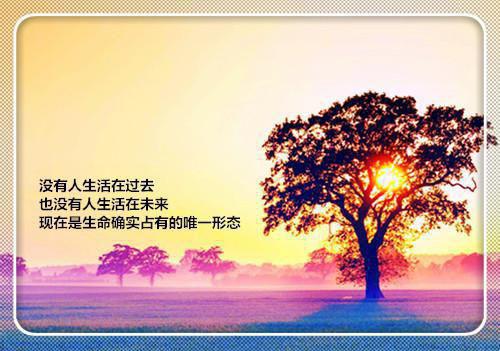 任粟月楚槿任粟月楚槿最新章节精彩试读