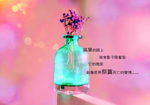 最新章节他为了白月光，典当了我的命：+后续+结局（付清言）_他为了白月光，典当了我的命：+后续+结局付清言最新章节