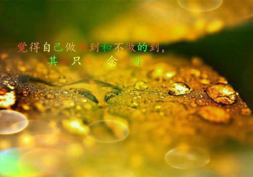全本谁与你白头成眷:免费（沈意欢陆沉舟林青绾）最新章节列表_全本谁与你白头成眷:免费全文阅读