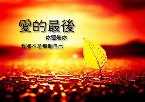 全本春尽人不归：结局（阮彦初骆澜月）最新章节列表_全本春尽人不归：结局全文阅读