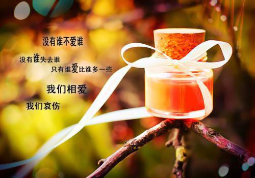 流年错付化烬尘：免费结局+后续（顾承安唐书婉）全文浏览_流年错付化烬尘：免费结局+后续全文浏览