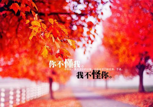 (番外)+(全文)重生后，我诞下了十尾天狐txt下载阅读_（胡子玉琉源）重生后，我诞下了十尾天狐最新章节列表_笔趣阁（胡子玉琉源）
